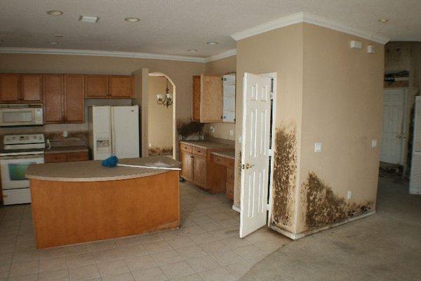 Terramar Restoration