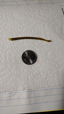 Belly Buster Sub Shop