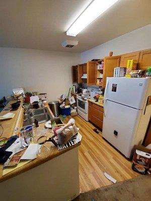 Southeast Junk Removal & Demolition