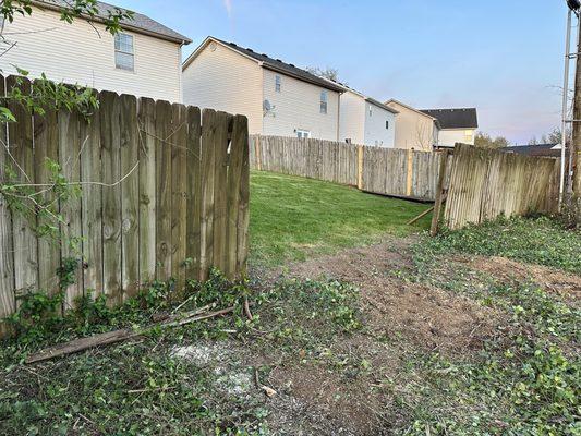 Sure Notch Tree Service