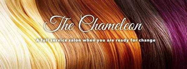 The Chameleon Full Service Salon