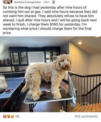 Andrea’s in Home Dog Grooming