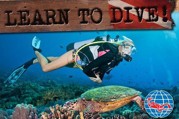 No Limitz Freediving & Scuba