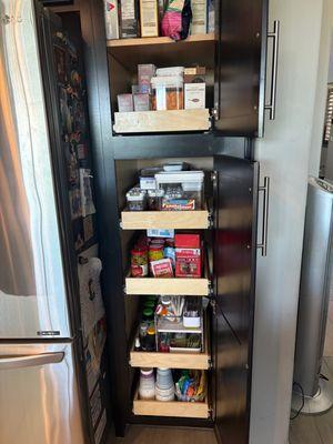 Pull Out Shelves By Shelf Theory