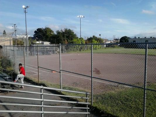 Softball Fields have lights