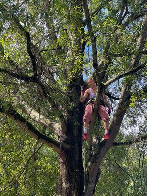 Dearness Tree Care