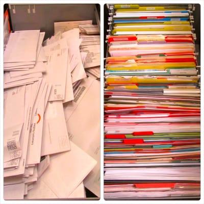 Appleshine Lifestyle Organization