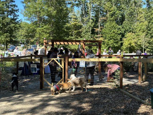 Looking at the safety area before entering the park.