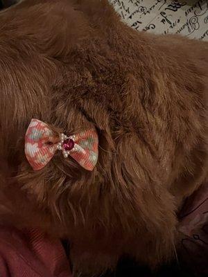 K9 Specialty Services