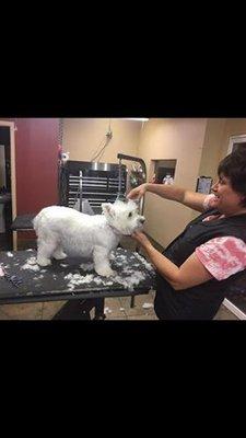 Good Sport Pet Services