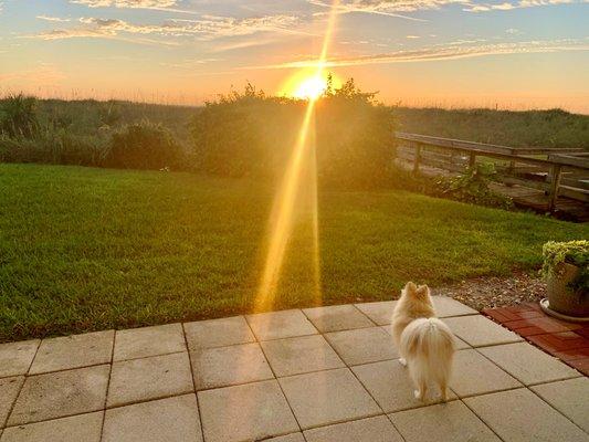 Kelly Bruno - Florida Lifestyle Realty