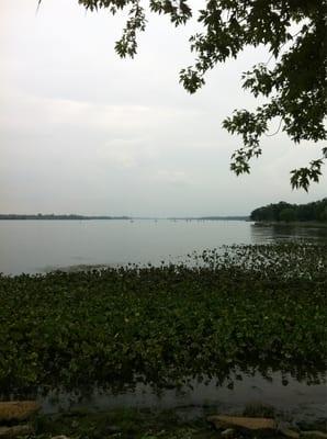 Palmyra Harbour, off the Delaware River, Palmyra, NJ.