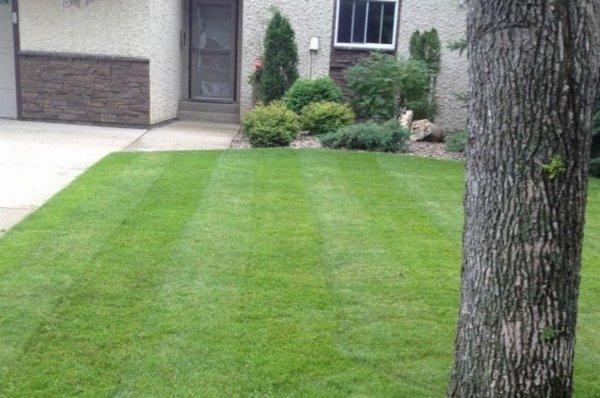 Hard-Pro Landscaping