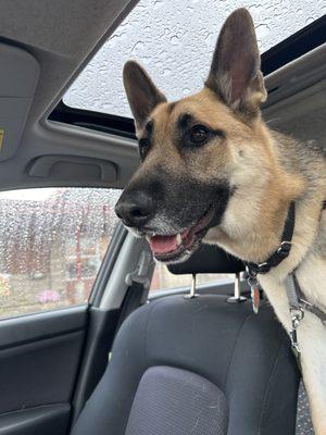 Alliance Animal Hospital