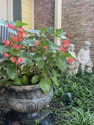 Como Courtyard & Guesthouse