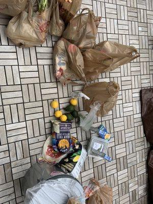 Forces of Nature of NY Inc