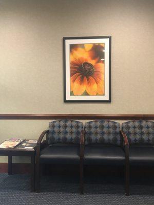 Beautiful pictures, comfortable atmosphere