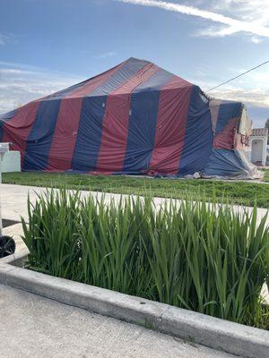 Elite Realty, Fabian Coria