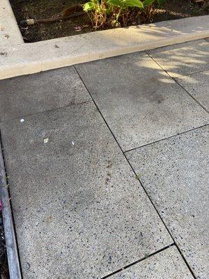 Premium Cleaning Services