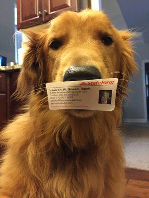 We are #herewhenyouSNEADit