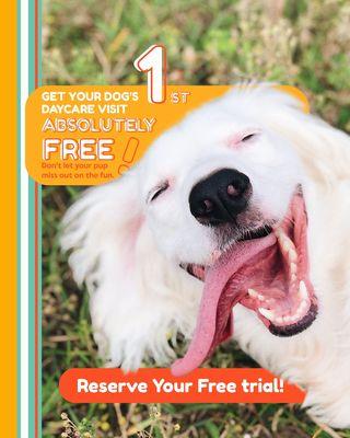 Free 1st daycare visit! book your appointment today!