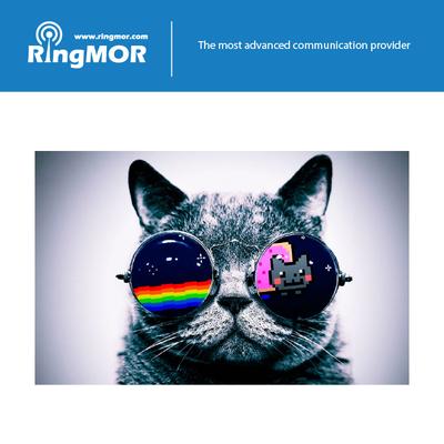 Yes, we are the most advanced one. :)