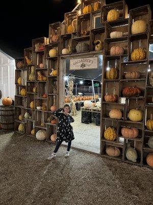 Fall Fun for everyone !