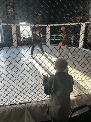 MPR Endurance MMA