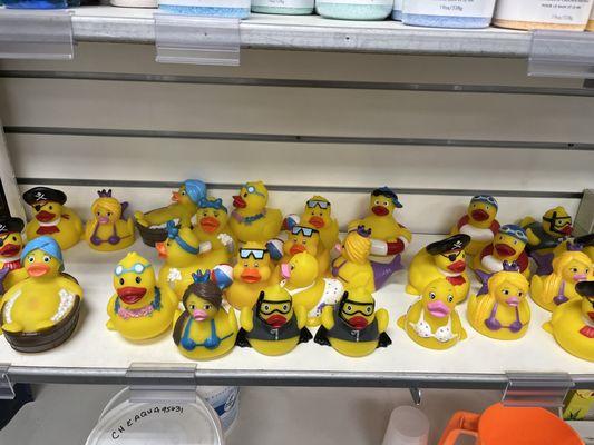 Pick up your favorite rubber duck at Spa Palace Colorado Springs