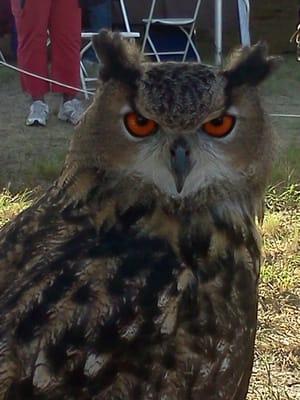 If you go be wise as an owl and don't be taken advantage of!