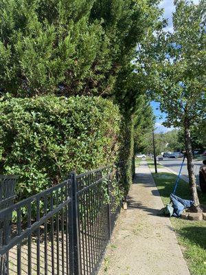 Radiant Hill Hard Landscape