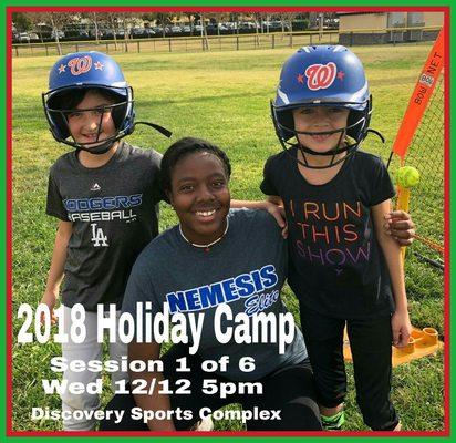 Triple Play Batting Cages