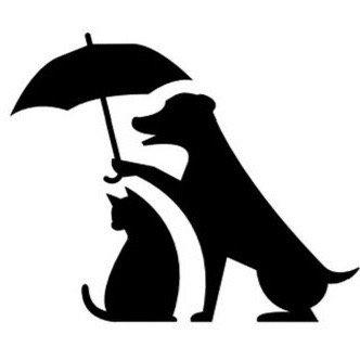 It's Training Cats and Dogs