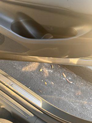 No illuminated door sills