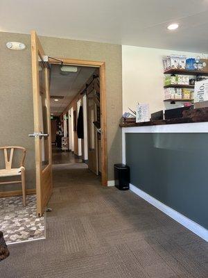 Green City Dental