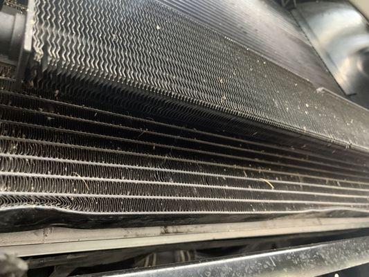 Tri-Star Auto Repairs