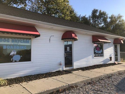 Bailey's Pampered Paws