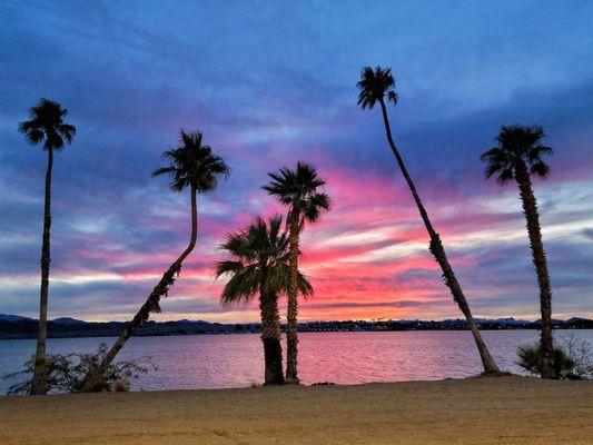 Lake Havasu Team Hatchell