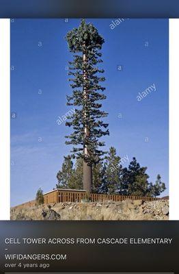 Cascade Elementary School