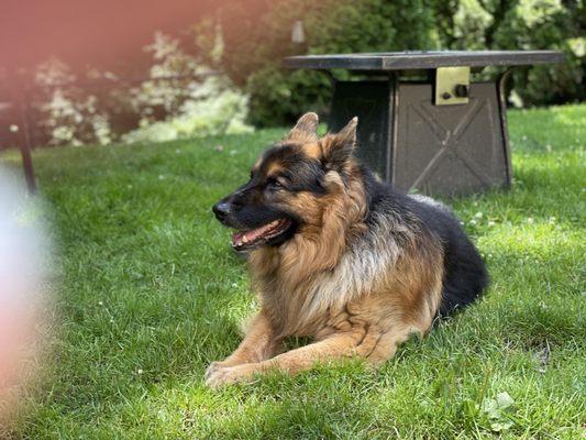 This is the older one both are Wonderful and this one only Shannon can do.