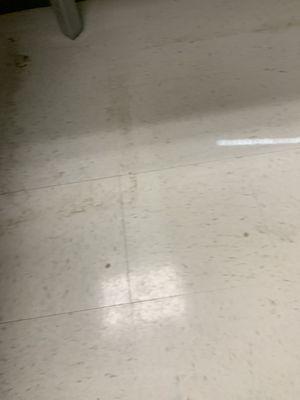 Professional Cleaning Business