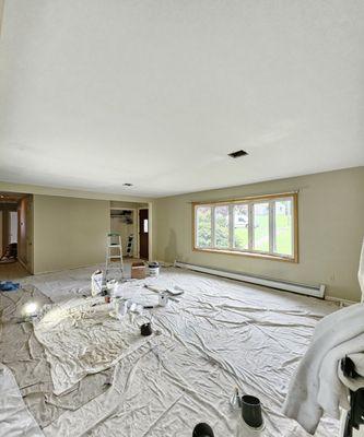 Amigos Painting Service