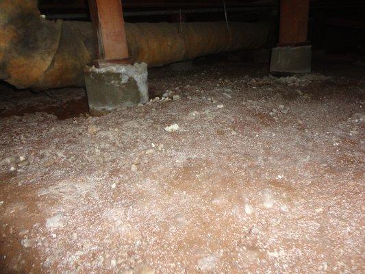Mold & Moisture in Crawlspace