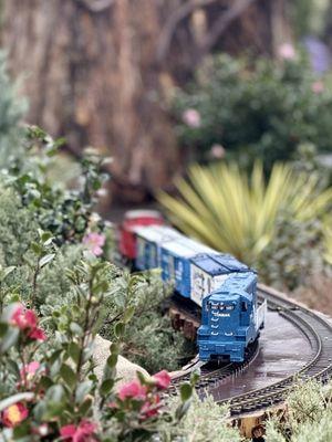 United States Botanic Garden