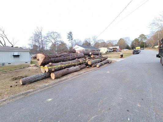 Hernandez Tree Services