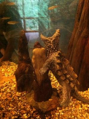 Missouri Conservation Nature Center
