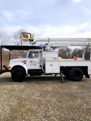 DJ's Professional Tree Services