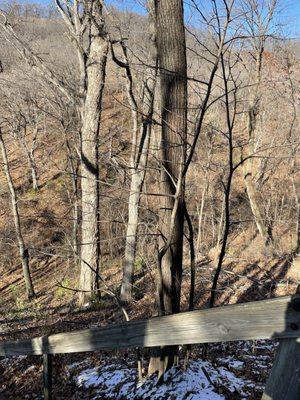 Fults Hill Prairie Nature Preserve