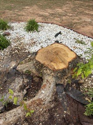 Bust Em Down Tree Services