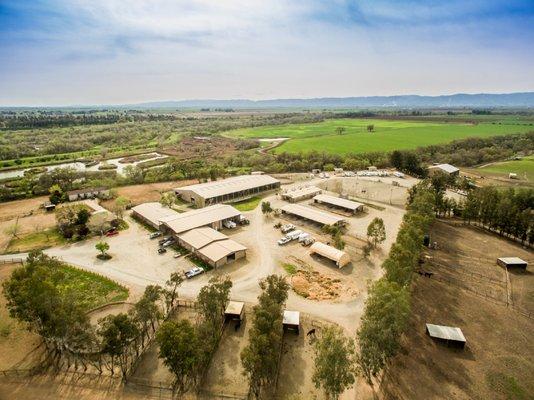 Geneva Gonzales - Woodland Stallion Station